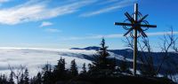 010 n  arber vom zwercheck - nebelgrenze 1200 m